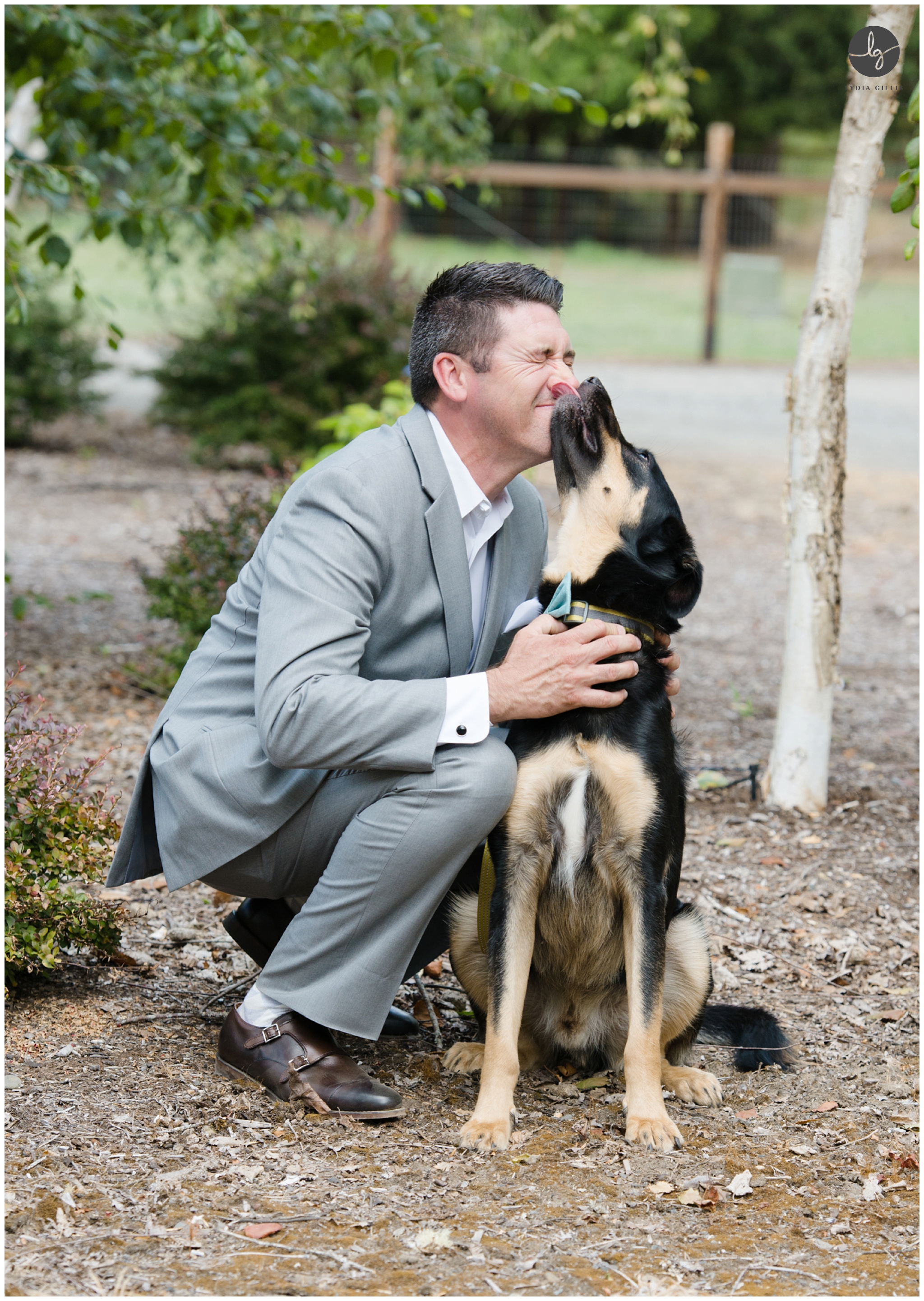 photos of groom in a gray suit with his dog in Eugene, Oregon. Photographed by Eugene wedding photography, Lydia Gillis Photography