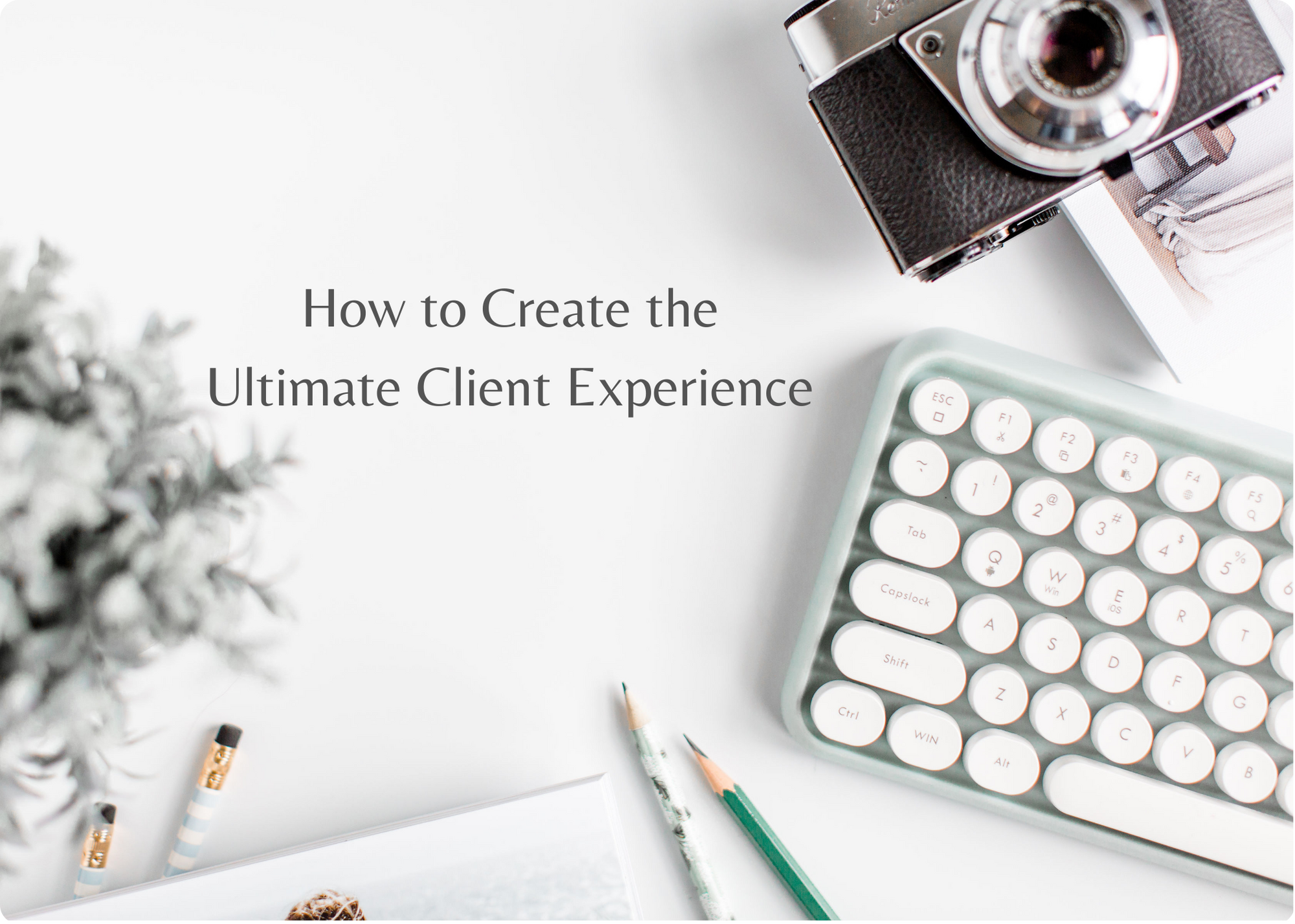 The thing that is going to set you apart from your competition is YOU and the unique client experience you offer your clients.